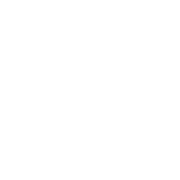 Home Icon